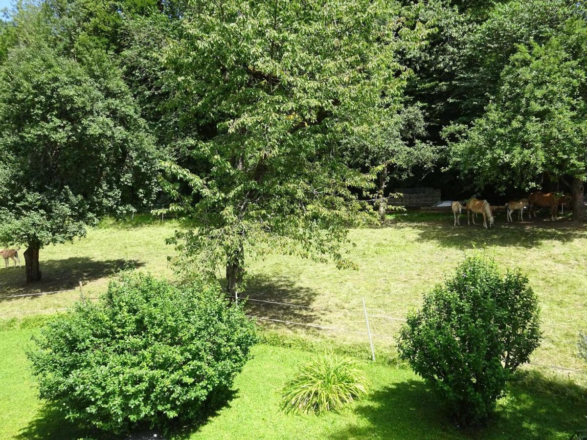 Ferienwohnungen Auhaus Bad Reichenhall Kültér fotó