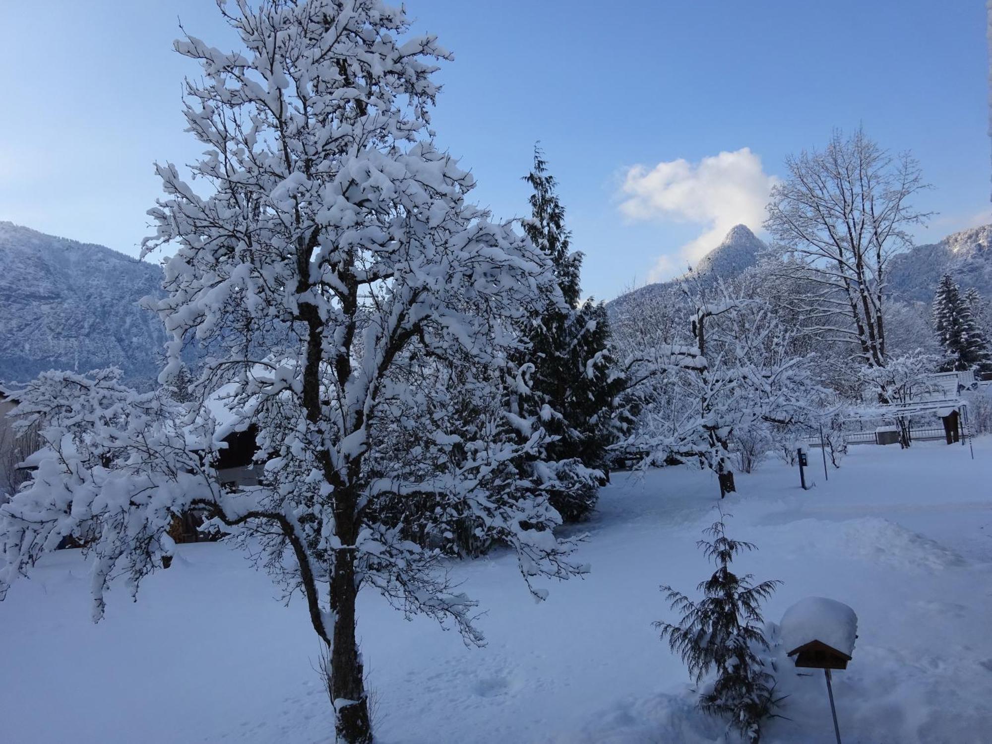 Ferienwohnungen Auhaus Bad Reichenhall Kültér fotó