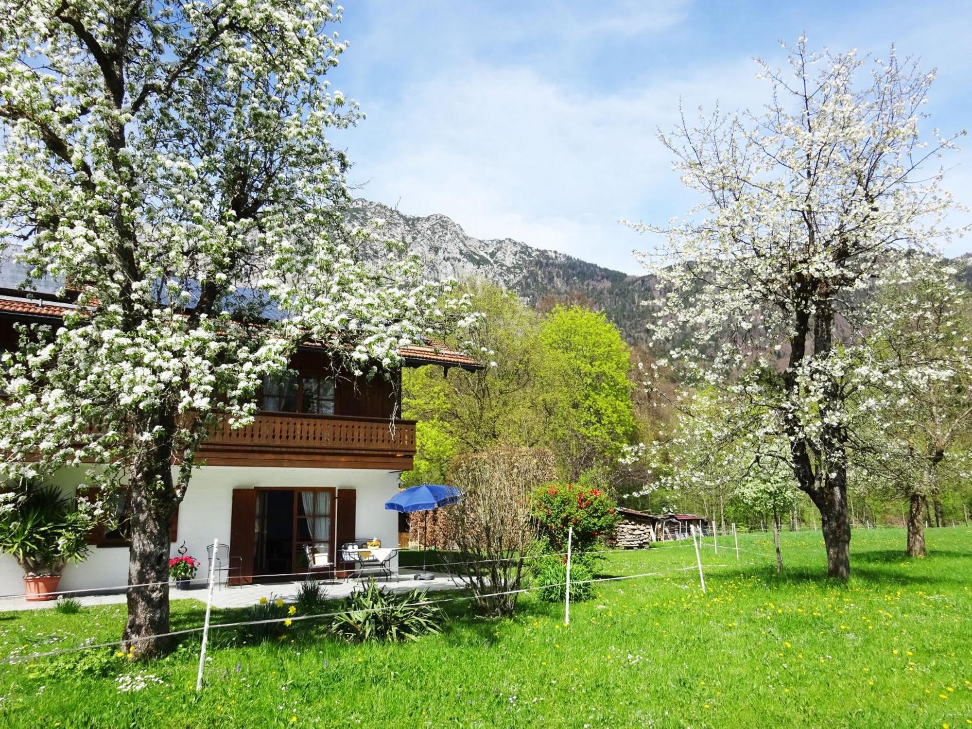 Ferienwohnungen Auhaus Bad Reichenhall Kültér fotó