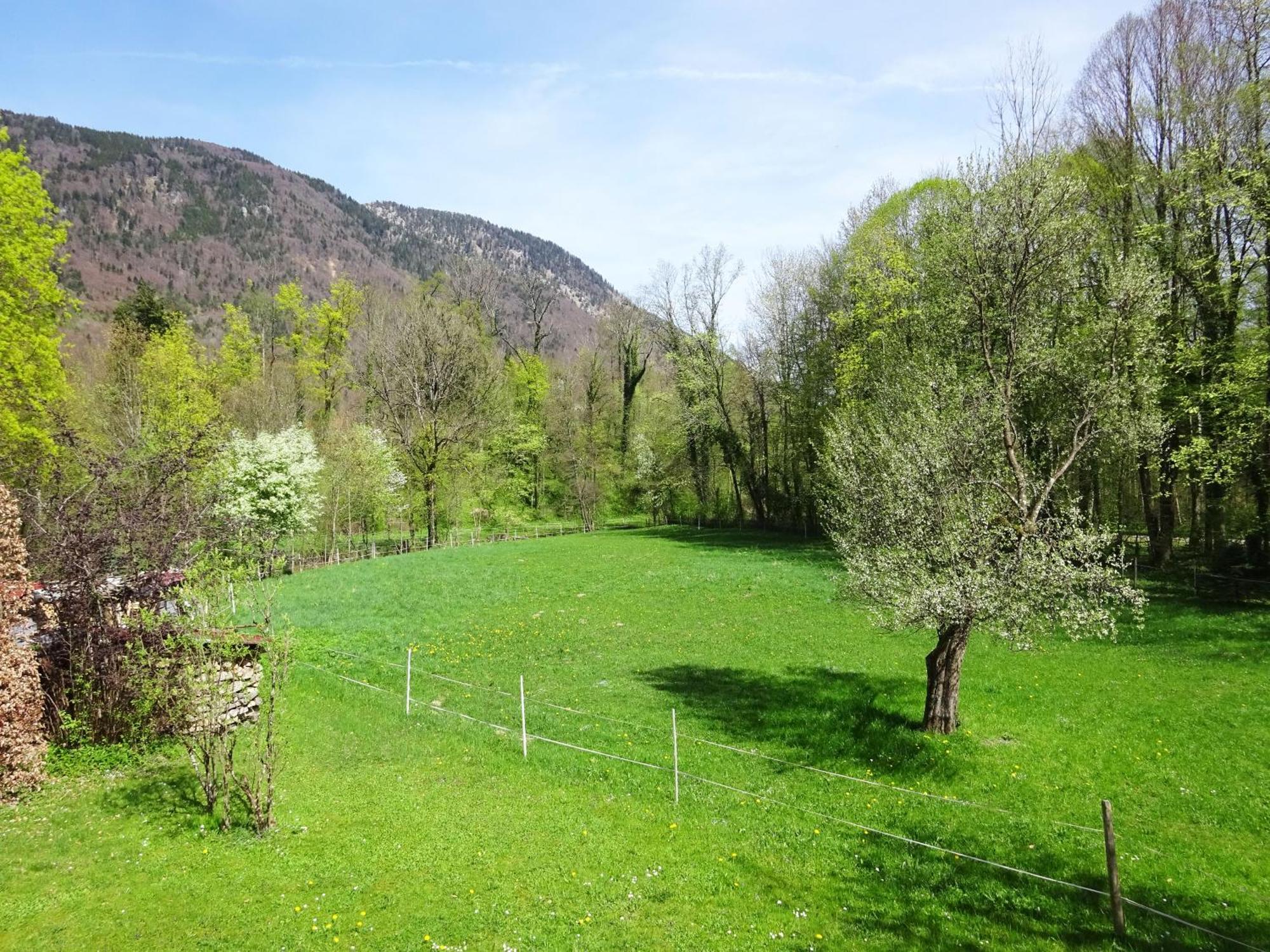 Ferienwohnungen Auhaus Bad Reichenhall Kültér fotó